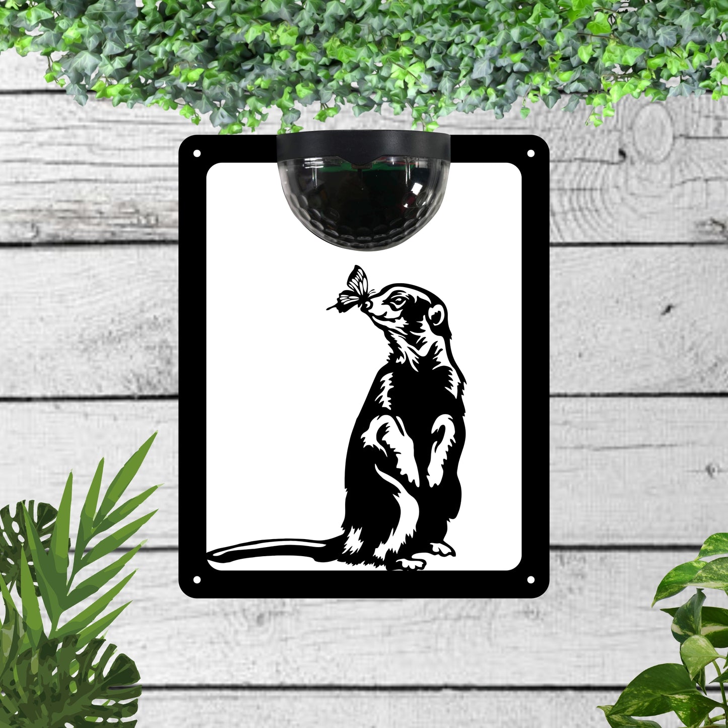 Meerkat Garden Solar Wall Plaque Wall Art