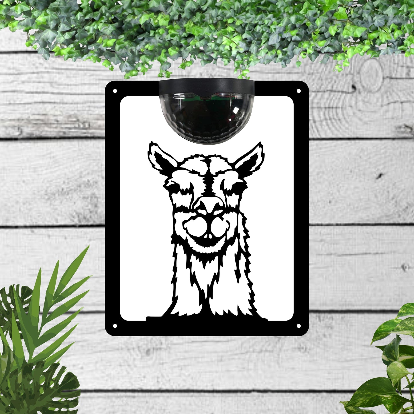 Llama Garden Solar Wall Plaque Wall Art