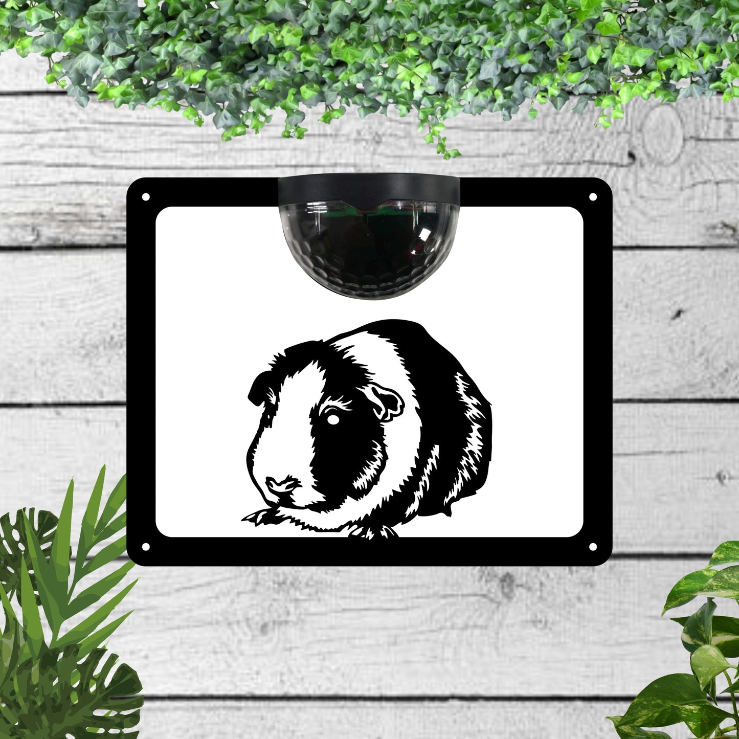 Guinea pig Garden Solar Wall Plaque Wall Art