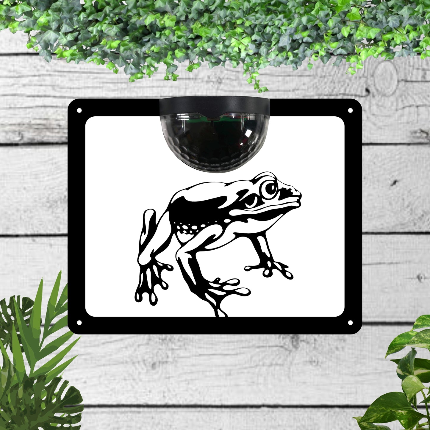 Frog Garden Solar Wall Plaque Wall Art
