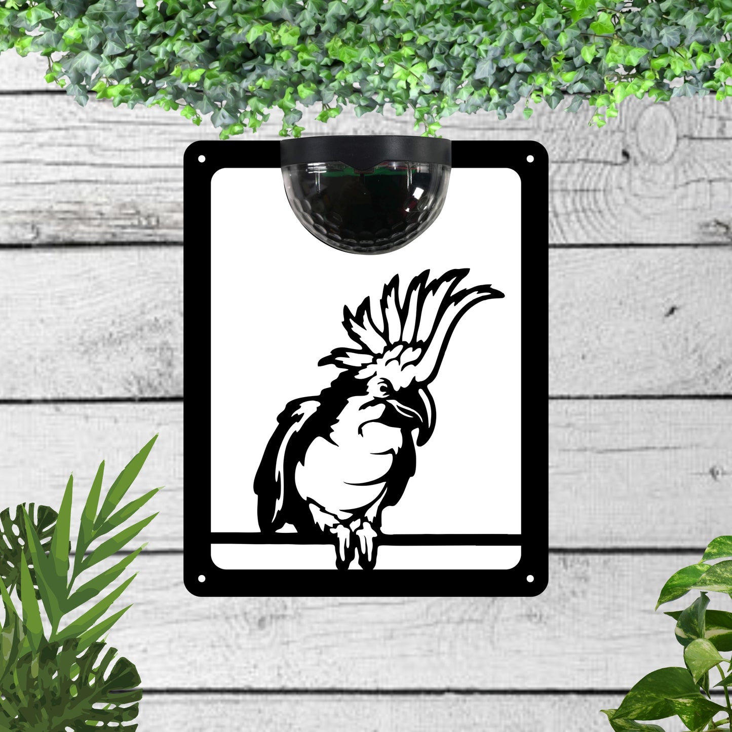 Parrot Garden Solar Wall Plaque Wall Art