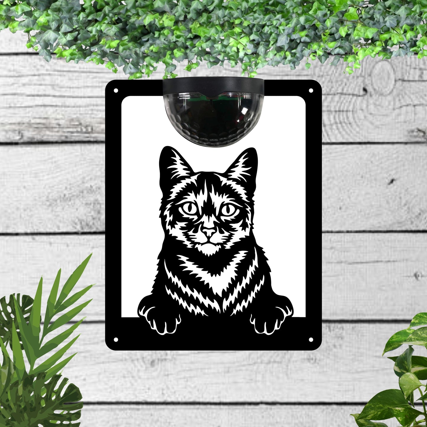 Cat Garden Solar Wall Plaque Wall Art
