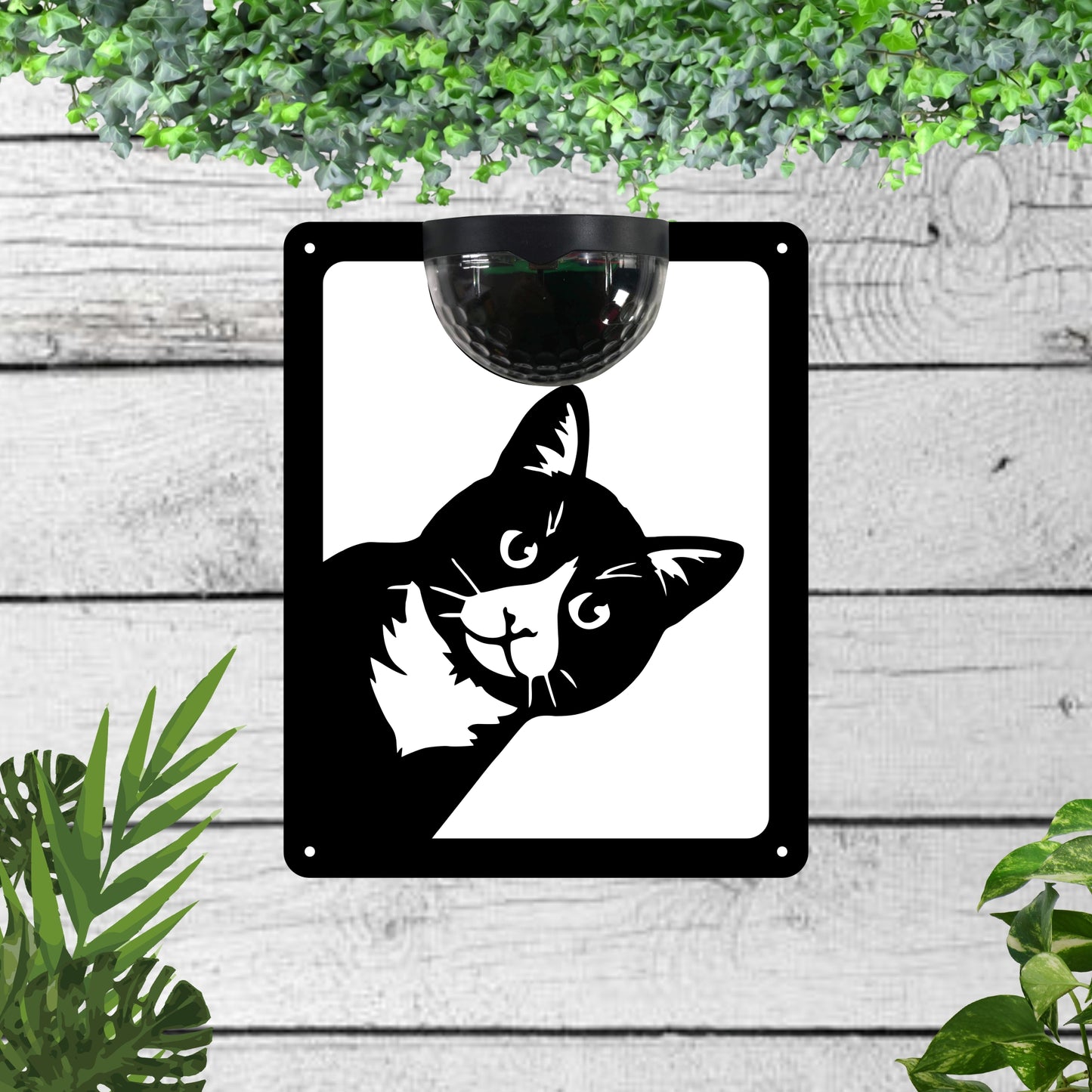 Cat Garden Solar Wall Plaque Wall Art