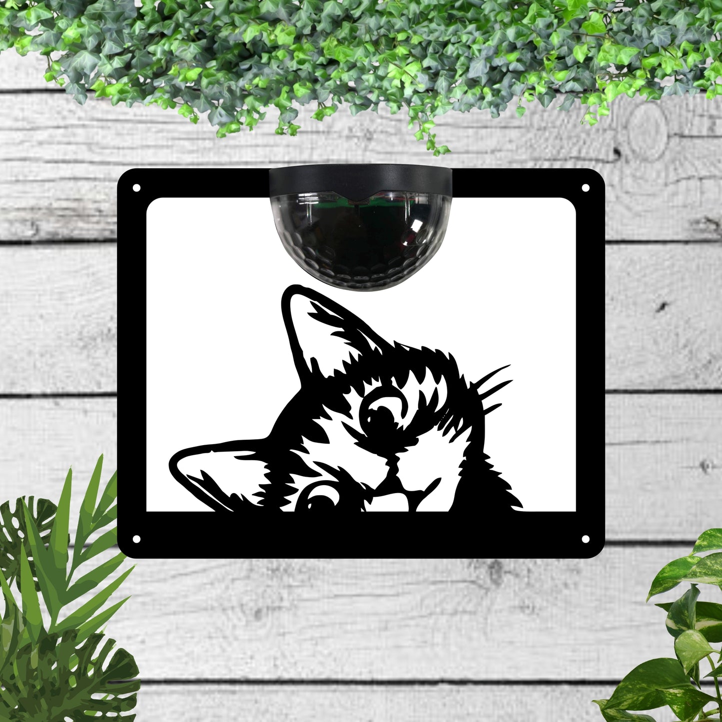 Cat Garden Solar Wall Plaque Wall Art