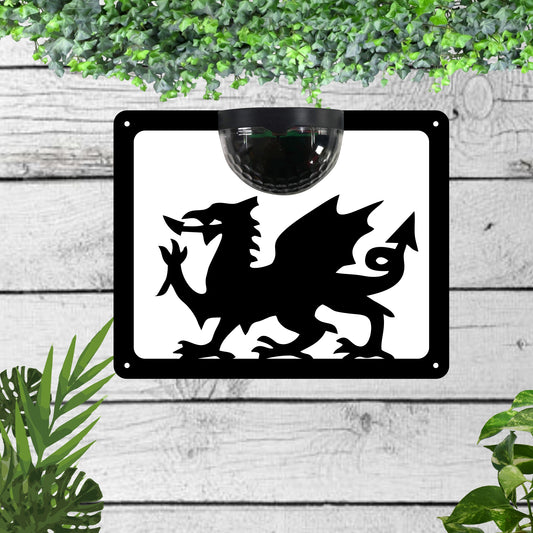 Welsh Dragon Garden Solar Wall Plaque Wall Art