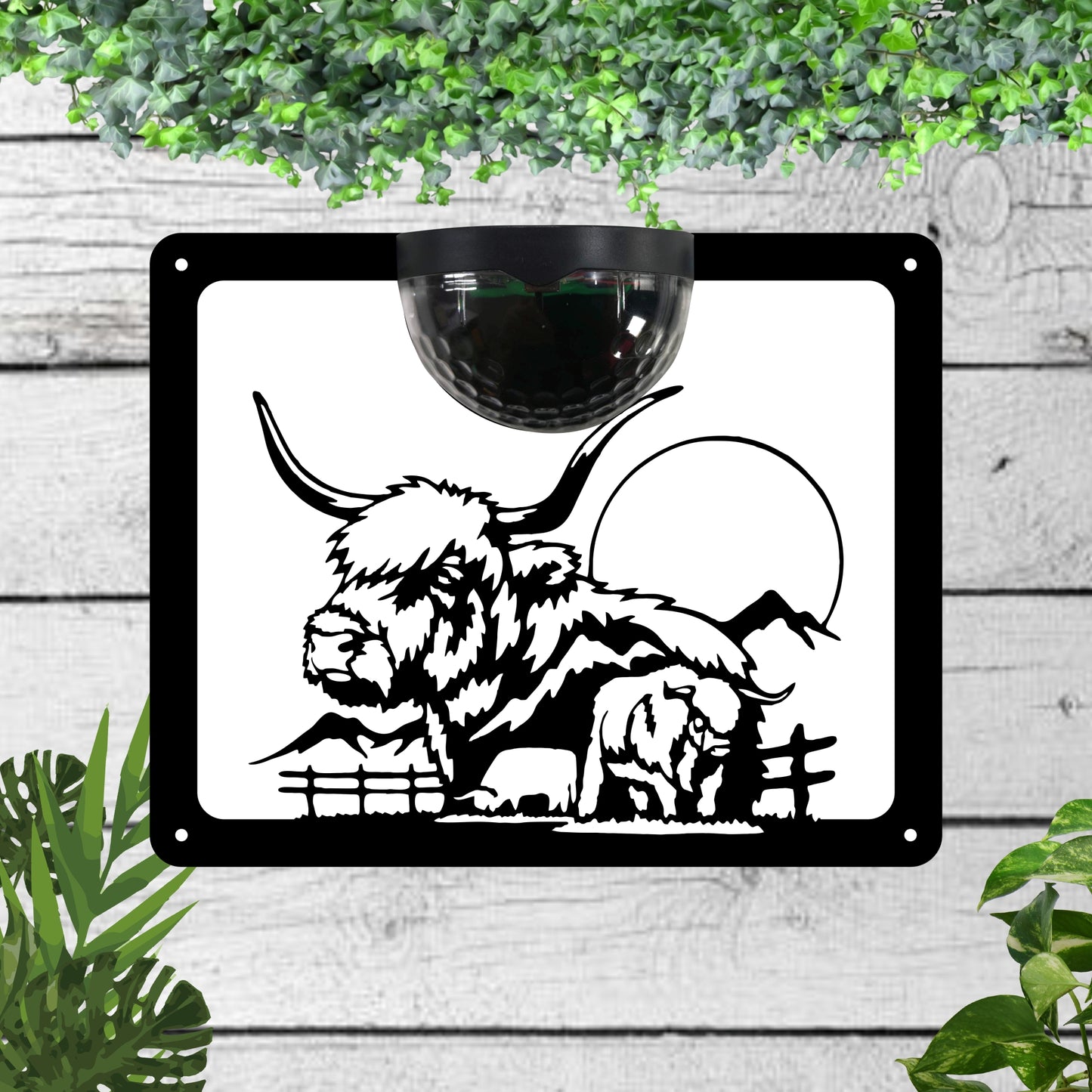 Highland Bull Garden Solar Wall Plaque Wall Art
