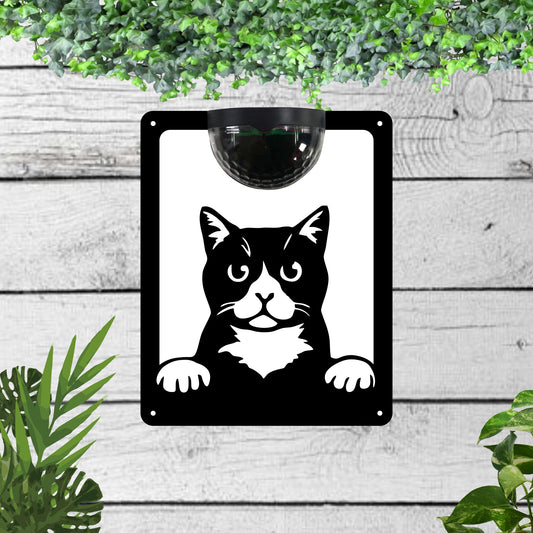 Cat Garden Solar Wall Plaque Wall Art