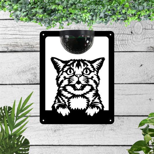 Cat Garden Solar Wall Plaque Wall Art