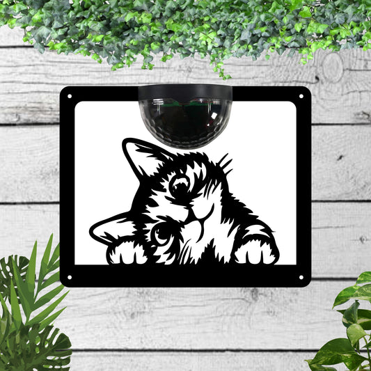 Cat Garden Solar Wall Plaque Wall Art
