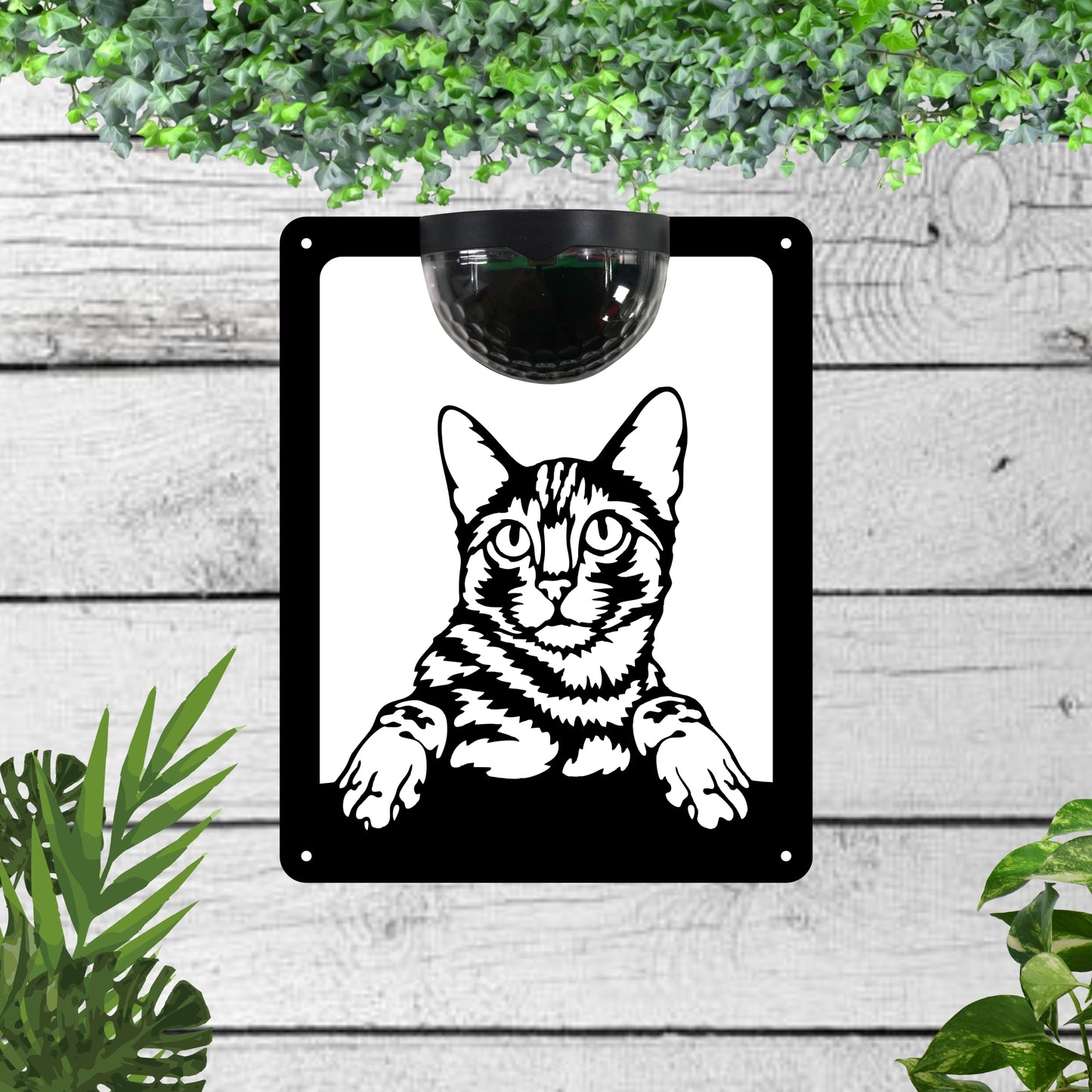 Cat Garden Solar Wall Plaque Wall Art