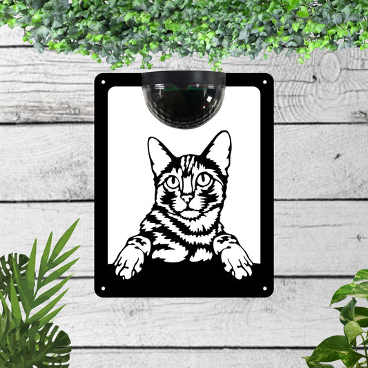 Cat Garden Solar Wall Plaque Wall Art