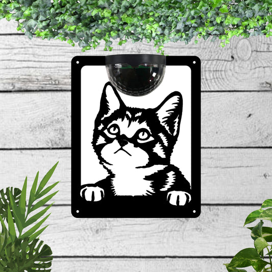 cat Garden Solar Wall Plaque Wall Art