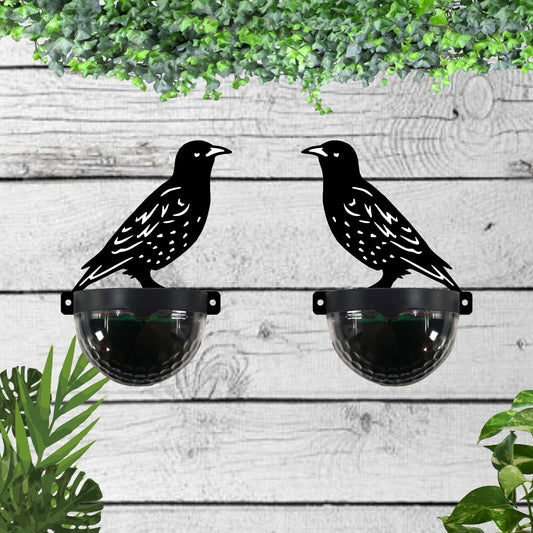 Starling Solar Fence Toppers Pack of 2